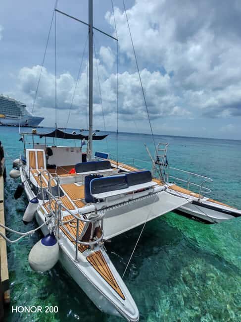 4 Hour Turtle Sanctuary Experience on a Luxury Catamarán - Who Will Love This Experience?