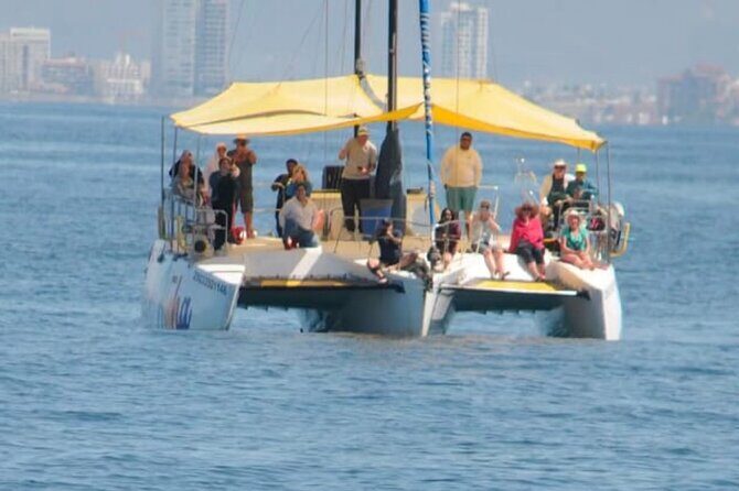 4-hour whale watching in magical Mazatlan - The Itinerary: What You Can Expect