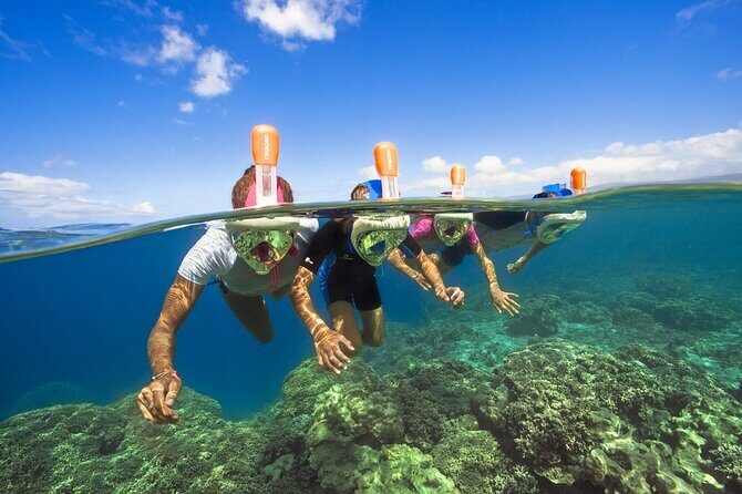 4 Hour Yacht Excursion in Mallorca El Blade - Setting the Scene: What to Expect from the Itinerary