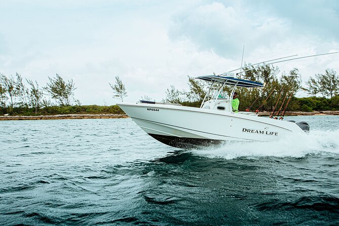 4 Hours 27FT Dream Life Private Charter in Nassau - What to Expect on Your Trip