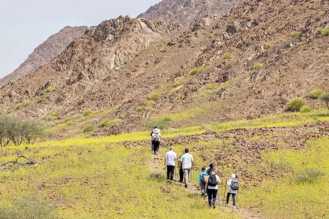 4 Hours Adventure Trip In Hatta Dubai - Exciting Activities Included