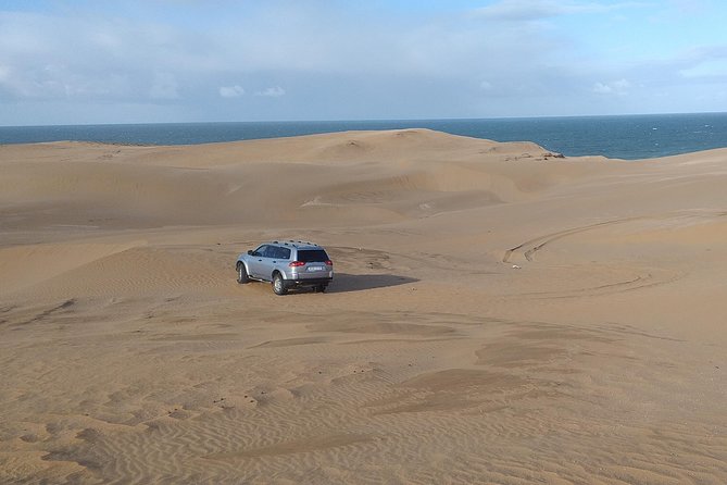 4 Hours.Agadir : Trip to Sahara and Tifnit Fishing Village - Good To Know