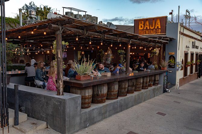 4 Hours Art Walk Experience in Cabo - Exploring the 4 Hours Art Walk Experience in Cabo: A Genuine Look