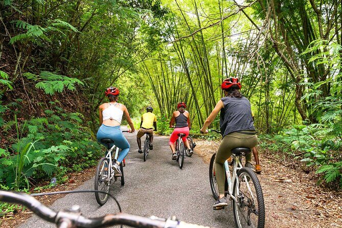 4-Hours Bike, Hike & Waterfall Tour in Blue Mountain with Lunch and Pick Up - FAQs