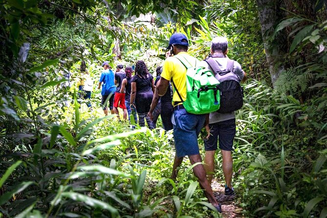 4-Hours Bike, Hike & Waterfall Tour in Blue Mountain With Lunch and Pick up - Good To Know