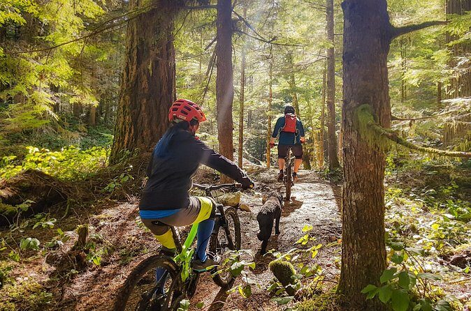 4 Hours Guided Mountain Bike Tour - FAQs