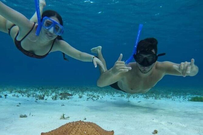 4 hours of shared snorkeling to El Cielo - Detailed Breakdown of the Experience