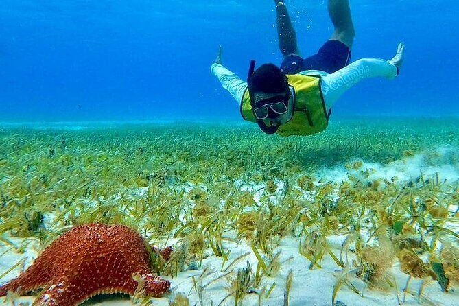 4 hours of shared snorkeling to El Cielo - The Sum Up