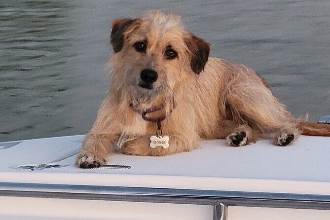 4 hours Private Eco Boat Tour Wildlife and Nature around islands - Summary