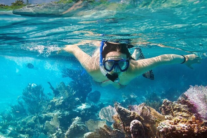 4 Hours Private Tour With Snorkel Experience in Roatan - Pickup Information