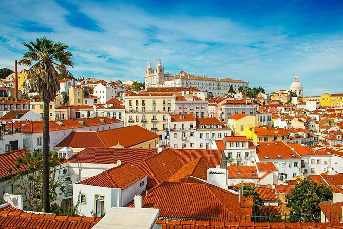 4-Hours Private Tuk Tuk Tour Discovering Lisbon - Traveler Feedback