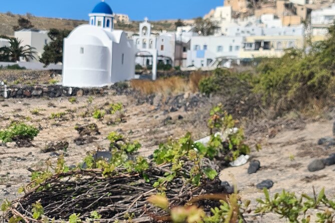 4 Hours Santorini Private Tour - Tour Inclusions