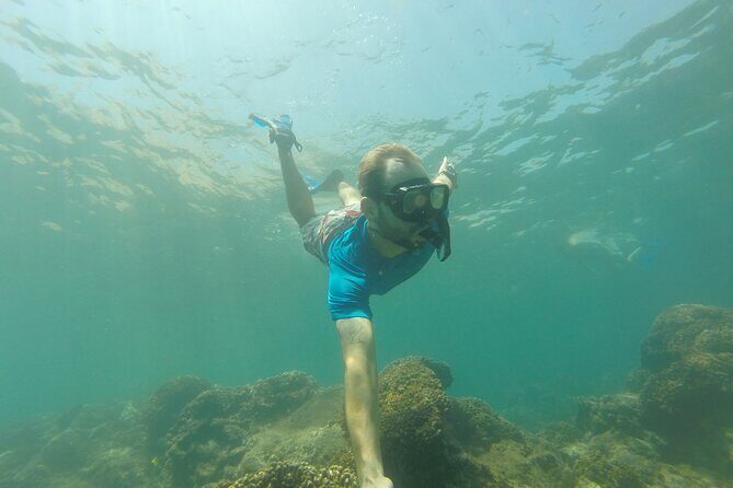 4 Hours Snorkeling Tour in Cabo San Lucas and Corridor - The Guide and Group Size: Making a Difference