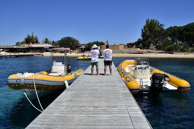 4 Hours Snorkeling With Guide in the Marine Protected Area of Tavolara - Booking Options