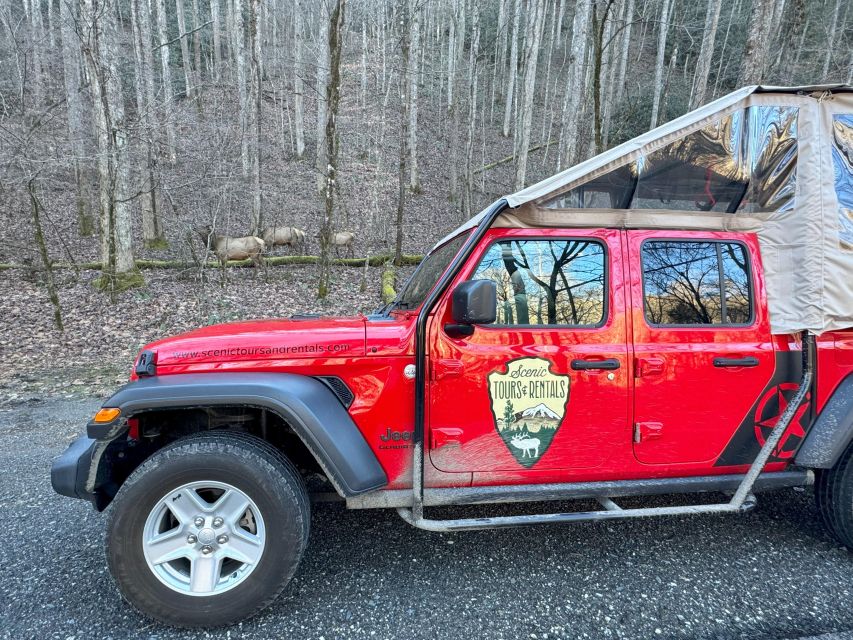 4 HR. Guided Safari Jeep Eco, ELK Wilderness Adventure - Guest Requirements and Policies