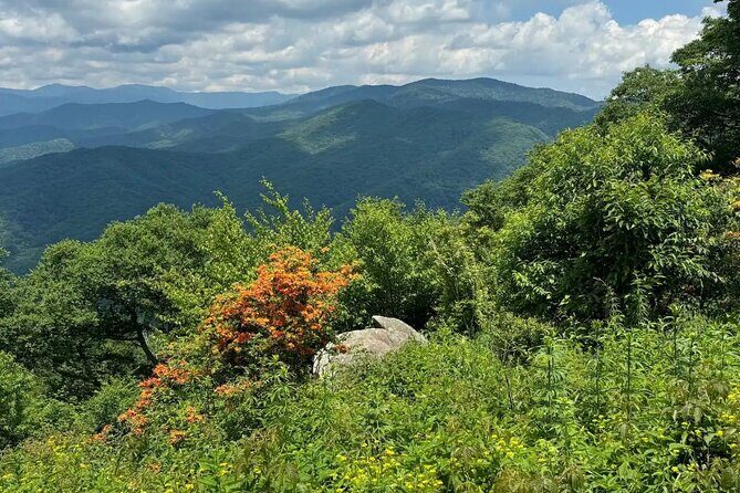 4 Hr Maggie Valley Slingshot Automatic Rental - Key Points