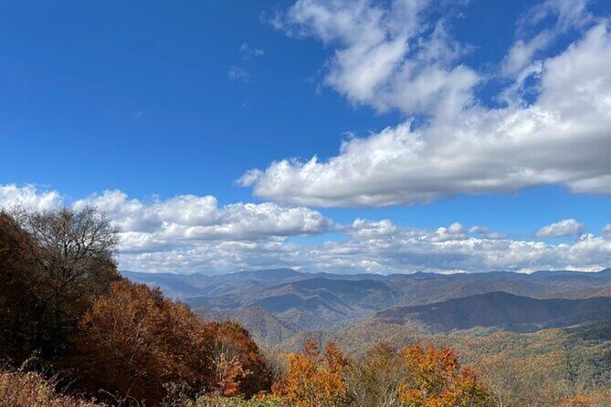 4 Hr Maggie Valley Slingshot Automatic Rental - Why This Experience Offers Great Value