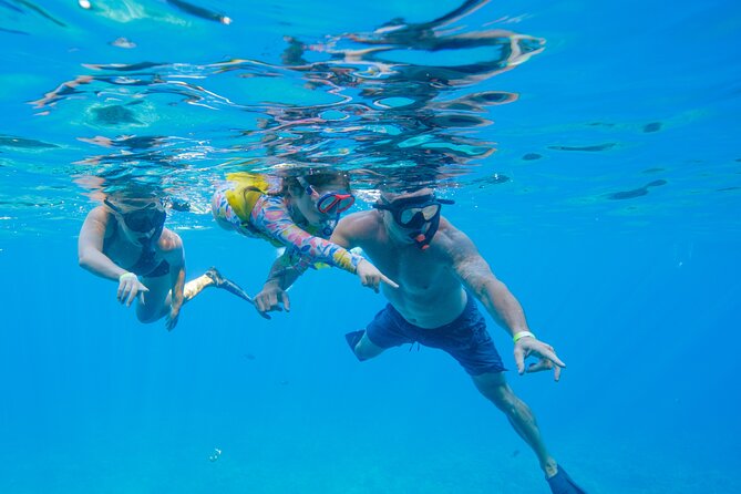 4-HR Molokini Crater + Turtle Town Snorkeling Experience - Booking Information