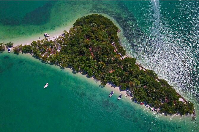 4 HR Pontoon Boat Rental - Included Amenities