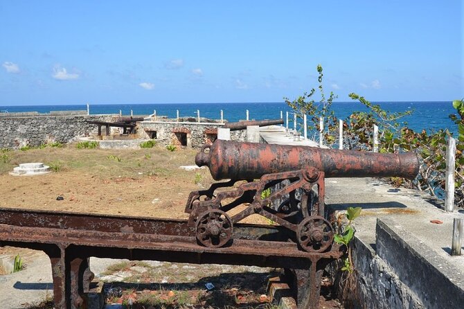 4 IN 1 Private & Customize Day Trip To Negril Including Entry Fee - Accessibility and Requirements