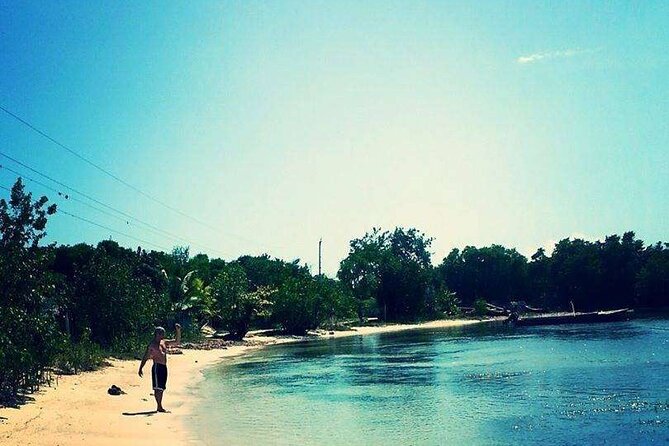 4 IN 1 Private & Customize Day Trip To Negril Including Entry Fee - Scenic Drive and Key Stops