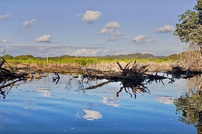 4 in 1 Tour - Mazunte, Cacao Factory, La Ventanilla National Park & Turtle Spawn - An Overview of the 4-in-1 Experience