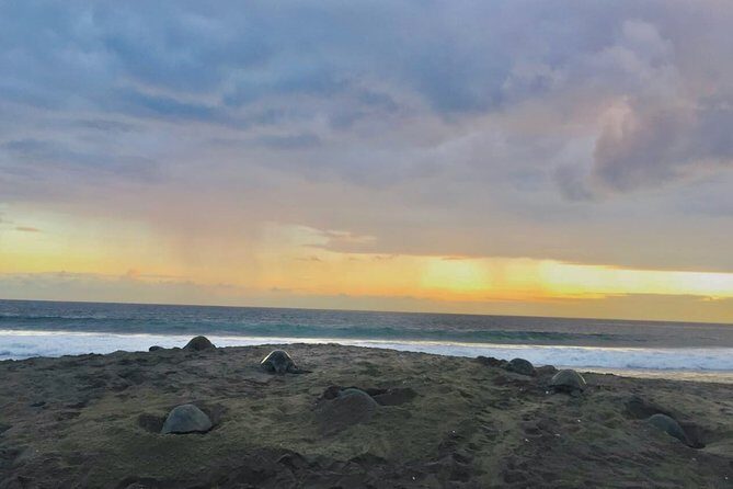 4 in 1 Tour - Mazunte, Cacao Factory, La Ventanilla National Park & Turtle Spawn - Detailed Breakdown of the Itinerary