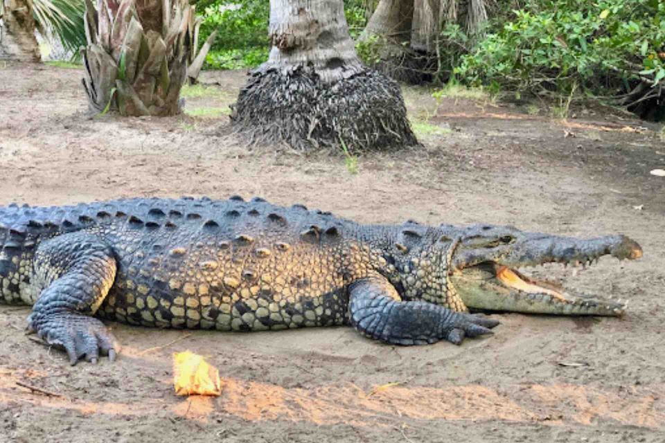 4-in-1 Tour - Mazunte, Cacao Factory & Turtle Spawn/Release - Pickup and Duration