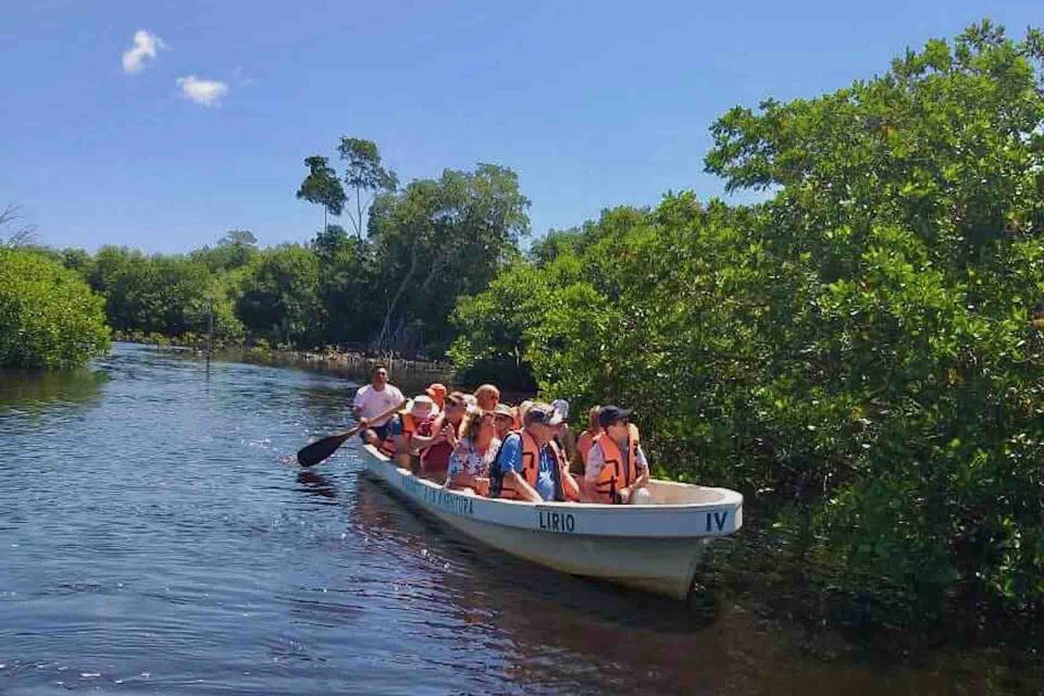 4-in-1 Tour - Mazunte, Cacao Factory & Turtle Spawn/Release - Boat Tour Through La Ventanilla