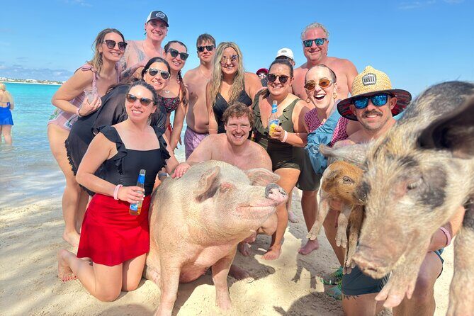 4-Island Tour Swimming Pigs, turtles, snorkeling , rose island, - Key Points