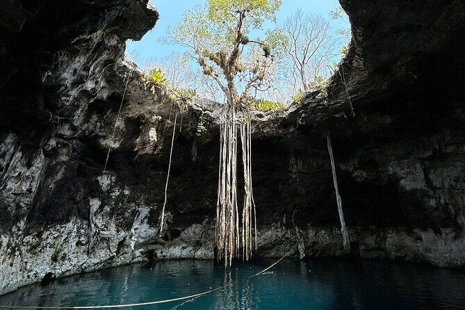 4 Santa Barbara Cenotes with Lunch from Merida Private - The Practicalities: Transportation, Timing, and Price