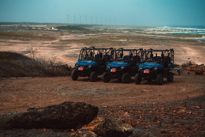 4 seat UTV Rental Adventure - Who Will Love This Experience?