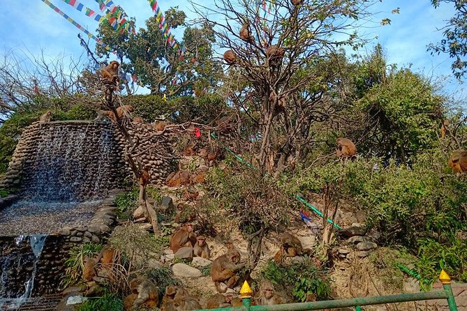 4 UNESCO City Sightseeing in Kathmandu - Inclusions and Exclusions