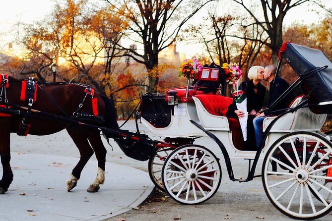 45 min Long VIP Central park carriage ride - Final Thoughts