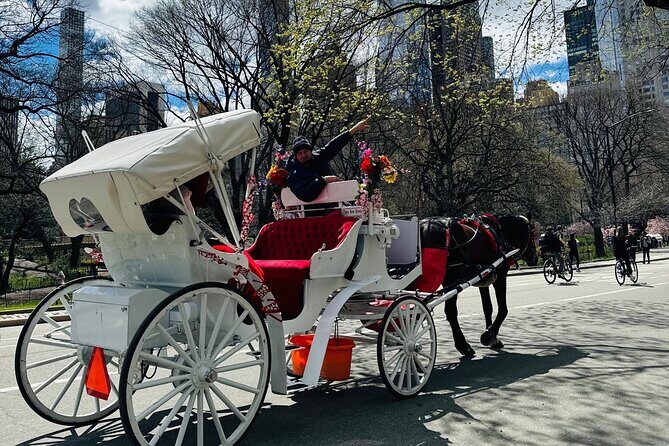 45 min Long VIP Central park carriage ride - FAQs
