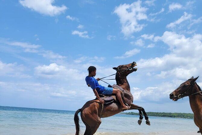 45 Minutes Horse Back Riding in Montego Bay - The Itinerary: A Typical Day on Horseback in Montego Bay