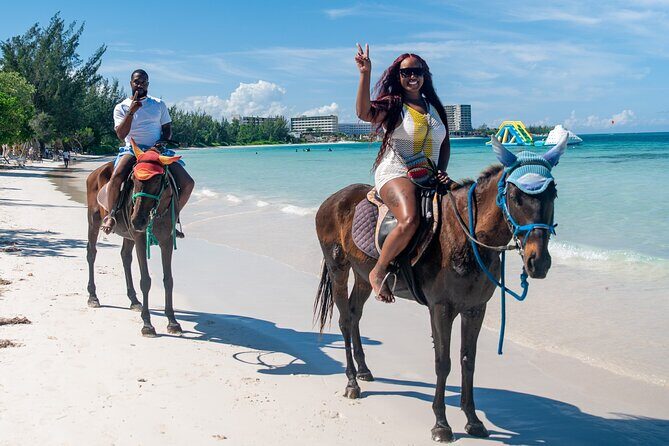45 Minutes horseback riding at Sand and Saddle - A Closer Look at the Horseback Riding Experience