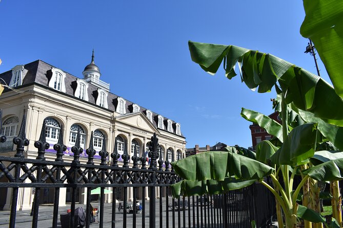 45 Minutes in Jackson Square - What to Expect From the Tour