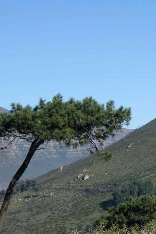 48 Minutes Cape Point (Full Peninsula) Helicopter Day Tour - Breathtaking Aerial Views