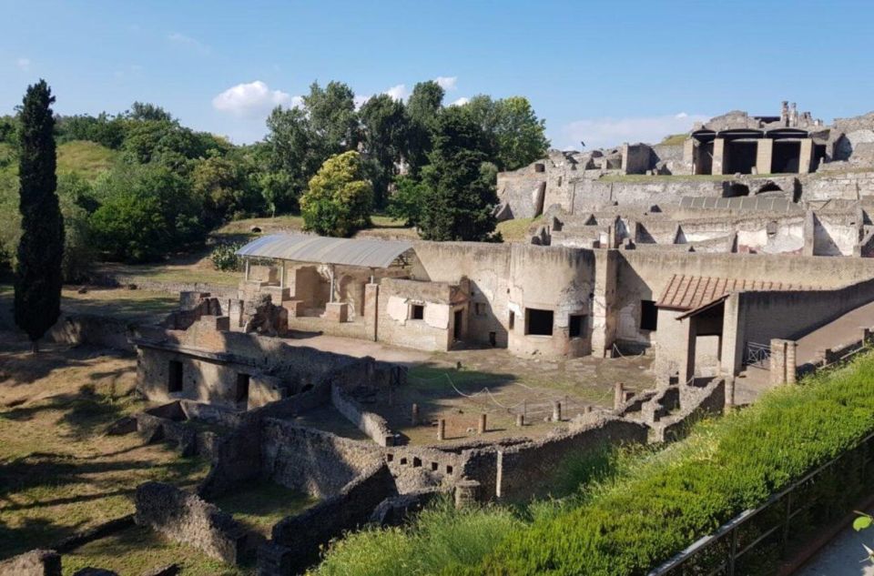 4H Private Guide Tour in Pompeii With Villa Dei Misteri - Meeting Point Details
