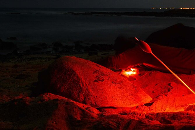 4h Turtle Watching With SSV Buggy Night 4WD - Cancellation Policy
