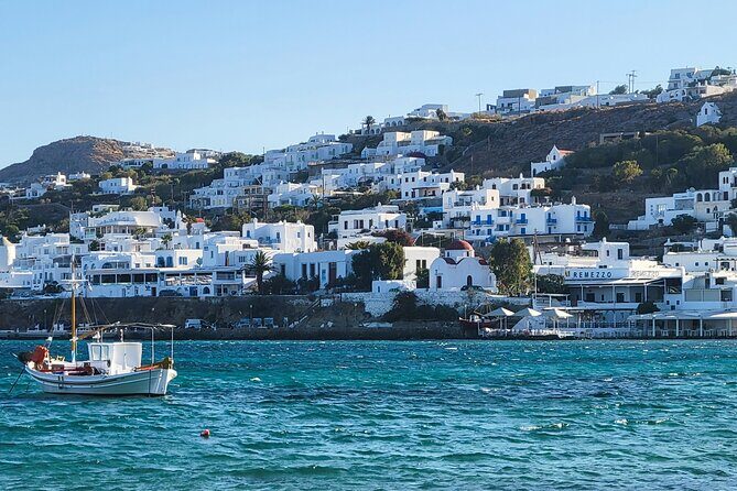 4Hours Mykonos Adventure Walk in Town & Minivan Countryside Tour - Who Should Consider This Tour?