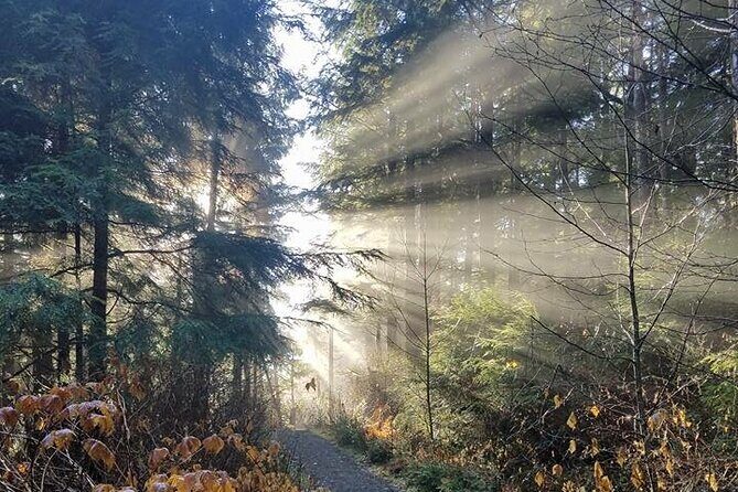 4hr Custom Private Tour of Ketchikan (14 People) Wildlife + More - An Introduction to the Ketchikan Private Tour