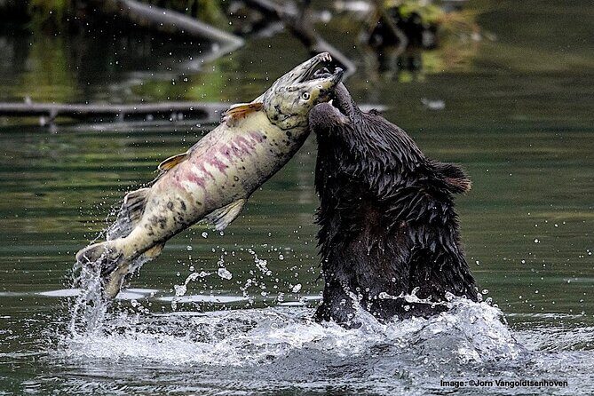 4hr Custom Private Tour of Ketchikan (14 People) Wildlife + More - What Makes This Tour Special?