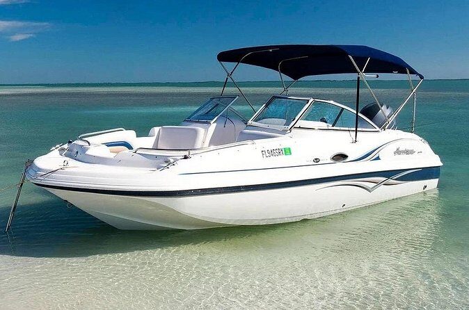 4HR Private bottom Fishing Charter with lunch - Final Thoughts: Is It Worth It?