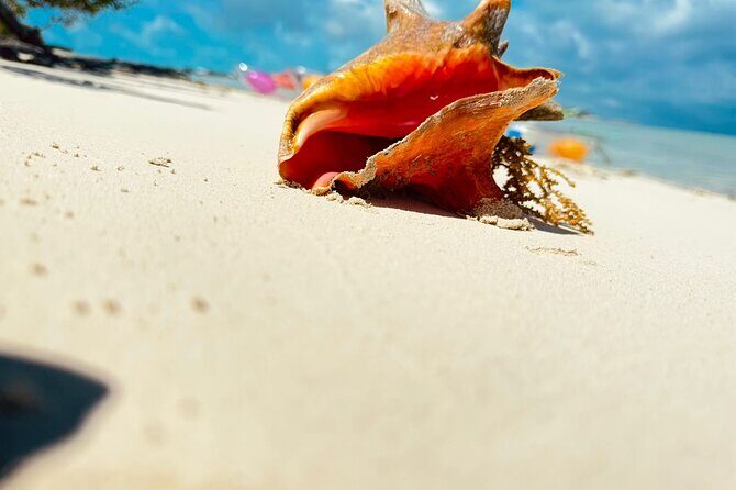 4HR Private Half-day Boat in Gracebay - Itinerary Breakdown: What You Can Expect