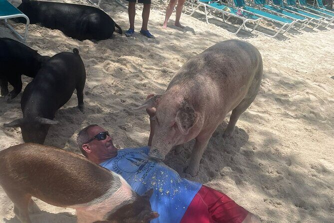 4hr Private Tour Island Hop Snorkel w/ Turtles & Sip Bahama Mamas - The Sum Up: Is This Tour Worth It?