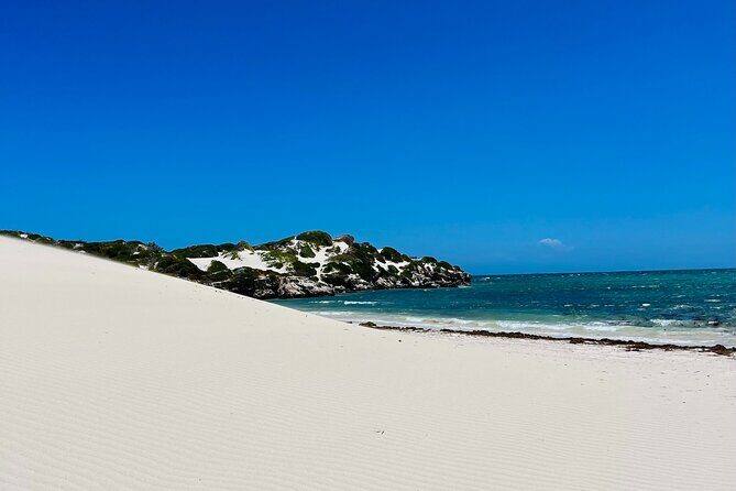 4WD Pinnacles Desert Turquoise Coast and Sand Boarding Adventure - Who Should Consider This Tour?