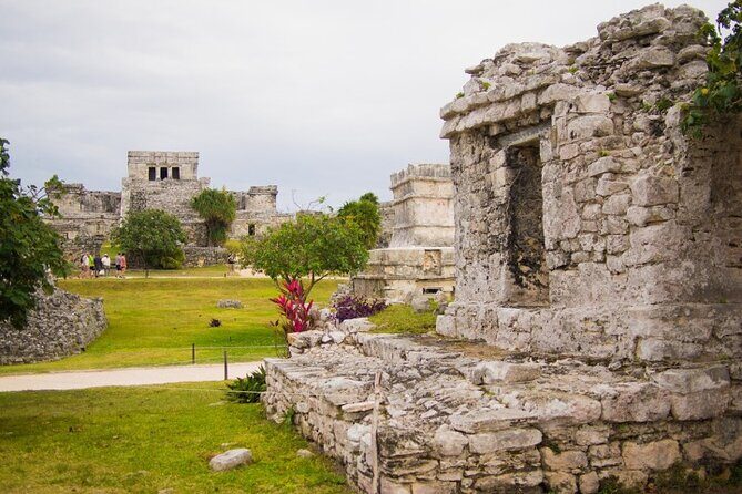 4x1 Explore TULUM Coba, Cenote and Mas, with transportation + Lunch. - Exploring the Mayan Heritage: A Day with History and Nature