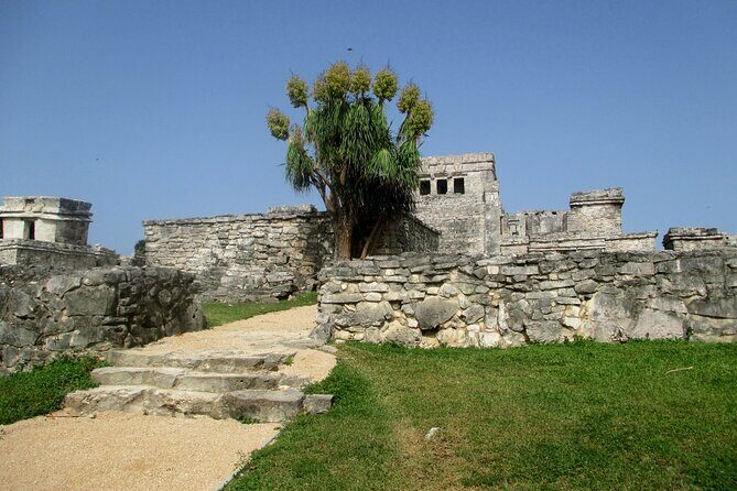 4x1 Tulum, Coba, Cenote & Playa del Carmen. Buffet lunch and transport included. - Authentic Experiences and Insights